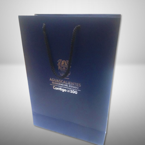 Bolsa de papel institucional para eventos y congresos
